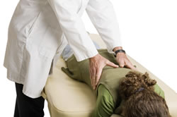 Chiropractic Help